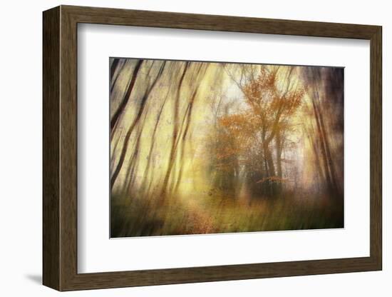 Meet-Viviane Fedieu Daniel-Framed Photographic Print