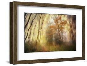 Meet-Viviane Fedieu Daniel-Framed Photographic Print