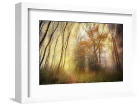 Meet-Viviane Fedieu Daniel-Framed Photographic Print