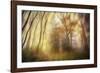 Meet-Viviane Fedieu Daniel-Framed Photographic Print