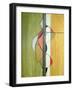 Meeting in the Middle-Ruth Palmer-Framed Art Print