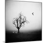 Meeting in the Morning Mist-Holger Droste-Mounted Photographic Print