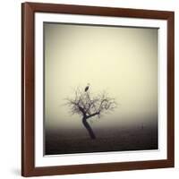 Meeting In The Morning-Holger Droste-Framed Giclee Print