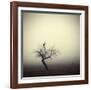 Meeting In The Morning-Holger Droste-Framed Giclee Print