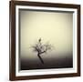 Meeting In The Morning-Holger Droste-Framed Giclee Print