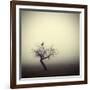 Meeting In The Morning-Holger Droste-Framed Giclee Print