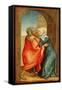Meeting of Joachim and Anne (Oil on Panel)-Hans Suess Kulmbach-Framed Stretched Canvas