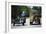 Meeting of Military Vehicles, Moto Guzzi Sidecars, 1941-null-Framed Giclee Print