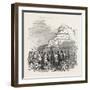 Meeting of the British Association at Southampton: Black Gang Chine-null-Framed Giclee Print