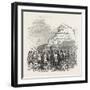 Meeting of the British Association at Southampton: Black Gang Chine-null-Framed Giclee Print