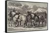 Meeting of the Lincolnshire Agricultural Society at Sleaford, First-Prize Team of Horses-Samuel John Carter-Framed Stretched Canvas