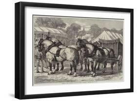 Meeting of the Lincolnshire Agricultural Society at Sleaford, First-Prize Team of Horses-Samuel John Carter-Framed Giclee Print