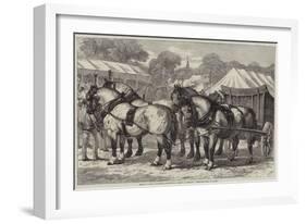 Meeting of the Lincolnshire Agricultural Society at Sleaford, First-Prize Team of Horses-Samuel John Carter-Framed Giclee Print