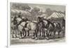 Meeting of the Lincolnshire Agricultural Society at Sleaford, First-Prize Team of Horses-Samuel John Carter-Framed Giclee Print