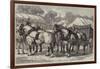 Meeting of the Lincolnshire Agricultural Society at Sleaford, First-Prize Team of Horses-Samuel John Carter-Framed Giclee Print