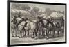 Meeting of the Lincolnshire Agricultural Society at Sleaford, First-Prize Team of Horses-Samuel John Carter-Framed Giclee Print
