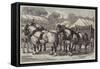 Meeting of the Lincolnshire Agricultural Society at Sleaford, First-Prize Team of Horses-Samuel John Carter-Framed Stretched Canvas