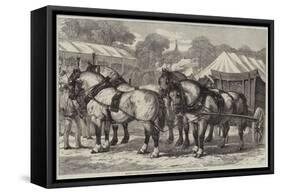 Meeting of the Lincolnshire Agricultural Society at Sleaford, First-Prize Team of Horses-Samuel John Carter-Framed Stretched Canvas