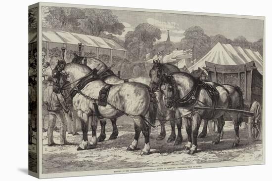 Meeting of the Lincolnshire Agricultural Society at Sleaford, First-Prize Team of Horses-Samuel John Carter-Stretched Canvas