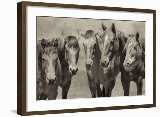 Meeting of the Minds-PHBurchett-Framed Photographic Print