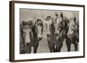 Meeting of the Minds-PHBurchett-Framed Photographic Print