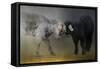 Meeting of the Minds-Jai Johnson-Framed Stretched Canvas