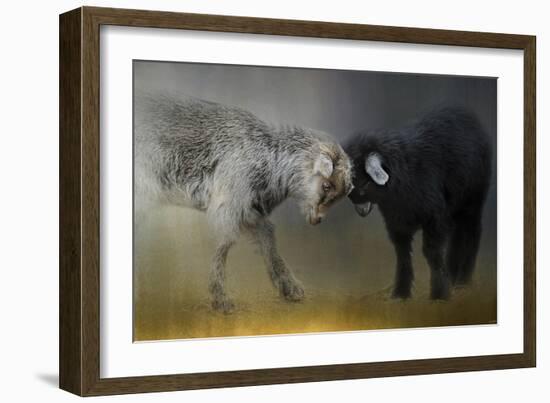 Meeting of the Minds-Jai Johnson-Framed Giclee Print