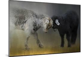 Meeting of the Minds-Jai Johnson-Mounted Giclee Print