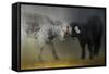 Meeting of the Minds-Jai Johnson-Framed Stretched Canvas