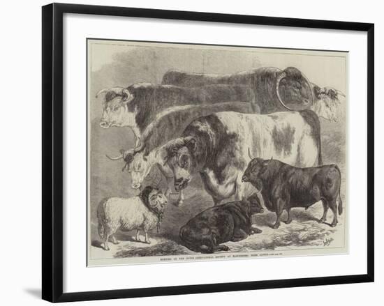 Meeting of the Royal Agricultural Society at Manchester, Prize Cattle-Samuel John Carter-Framed Giclee Print