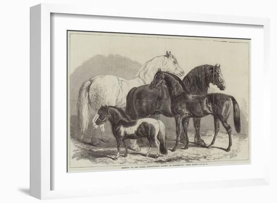 Meeting of the Royal Agricultural Society at Manchester, Prize Horses-Samuel John Carter-Framed Giclee Print