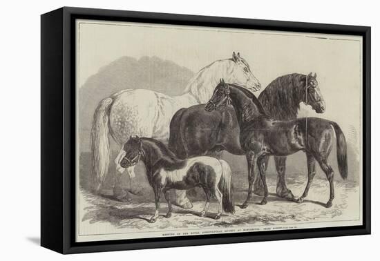 Meeting of the Royal Agricultural Society at Manchester, Prize Horses-Samuel John Carter-Framed Stretched Canvas