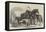 Meeting of the Royal Agricultural Society at Manchester, Prize Horses-Samuel John Carter-Framed Stretched Canvas