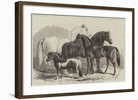 Meeting of the Royal Agricultural Society at Manchester, Prize Horses-Samuel John Carter-Framed Giclee Print