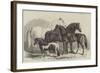 Meeting of the Royal Agricultural Society at Manchester, Prize Horses-Samuel John Carter-Framed Giclee Print