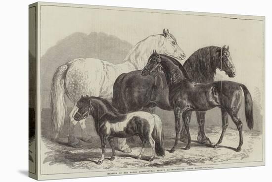 Meeting of the Royal Agricultural Society at Manchester, Prize Horses-Samuel John Carter-Stretched Canvas