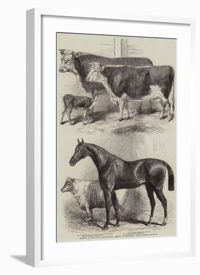 Meeting of the Royal Agricultural Society at Worcester, Prize Animals-Harrison William Weir-Framed Giclee Print