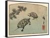 Meeting of Two Turtles-null-Framed Stretched Canvas