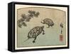 Meeting of Two Turtles-null-Framed Stretched Canvas