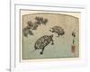 Meeting of Two Turtles-null-Framed Art Print