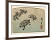 Meeting of Two Turtles-null-Framed Art Print