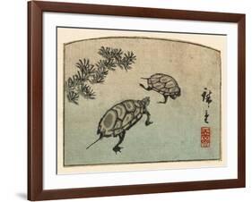 Meeting of Two Turtles-null-Framed Art Print