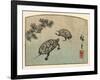 Meeting of Two Turtles-null-Framed Art Print