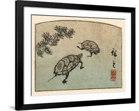 Meeting of Two Turtles-null-Framed Art Print