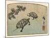 Meeting of Two Turtles-null-Mounted Art Print