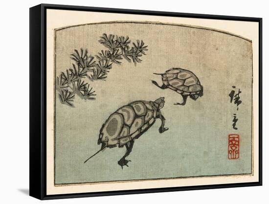 Meeting of Two Turtles-null-Framed Stretched Canvas