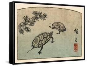 Meeting of Two Turtles-null-Framed Stretched Canvas