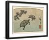 Meeting of Two Turtles-null-Framed Art Print