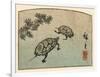 Meeting of Two Turtles-null-Framed Art Print