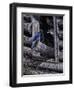 Meeting Place-Jeff Tift-Framed Premium Giclee Print